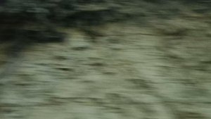 ЕДЕМ ПО АДЫГЕЕ