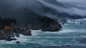 Ocean Therapy with Anjundeep 12-1 ｜ Coastal California