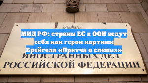 МИД РФ: страны ЕС в ООН ведут себя как герои картины Брейгеля «Притча о слепых»