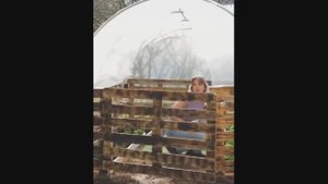 Как сделать теплицу из деревянных поддонов