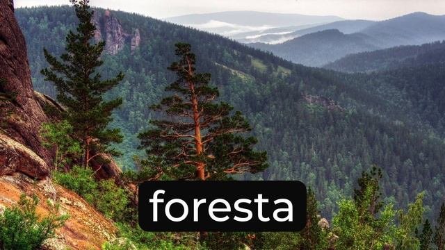 Самец или самочка? Стреляем по охотникам и учимся взвешиваться. #итальянскийязыкснуля #италия