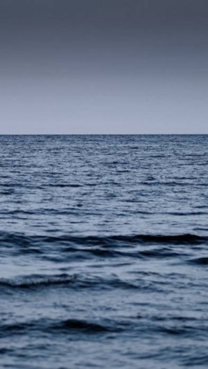 Одни в океане «Новая угроза»