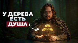 Шокирующее открытие! Куда попадают деревья после смерти