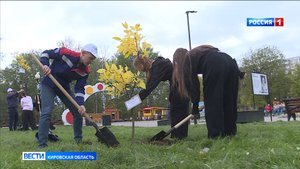 В Кирове прошла эколого-патриотическая акция «Лес Победы»