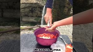 -4881550593014246419