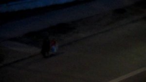 Мы идём. г. Новосибирск