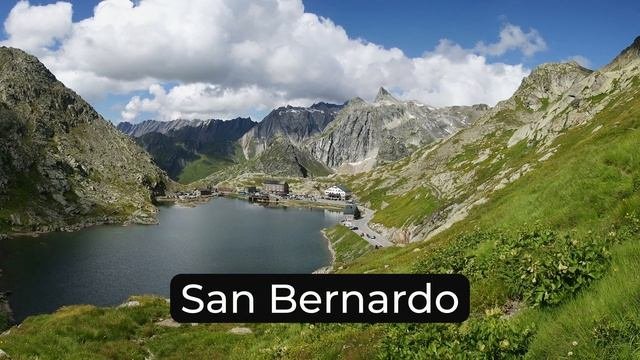 Домашние питомцы на итальянском. #итальянскийязык #италия #итальянскийязыкснуля