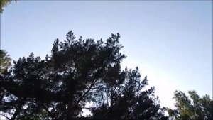 Участник регионального конкурса «Русский язык – сила в единстве»