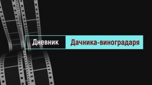 Виноград Петра