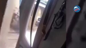 Собачьи манеры: пёс отказался покинуть дом без поводка во время пожара