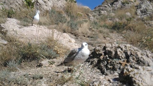 Мартын смотреть онлайн