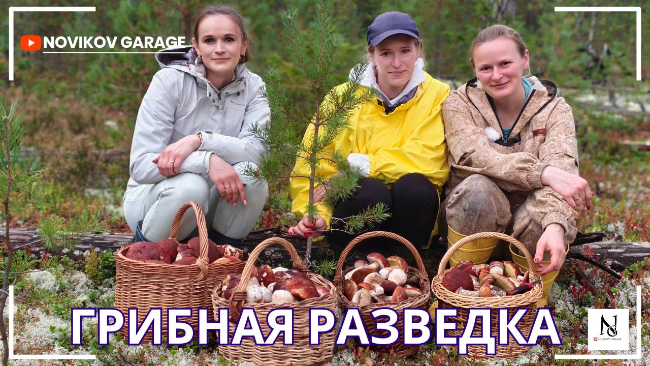 Грибная разведка 21 сентября 2025. Приозерский район. смотреть онлайн