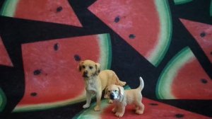 Обзор на Фигурки собачки Золотистый Ретривер + ещё декоративные фрукты для кукол