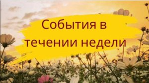События в течении недели - 33