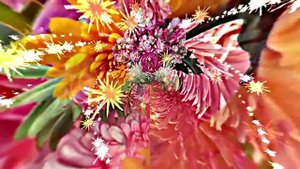 Видеофоны! Видеофон Осенняя цветочная фантазия 2 от Киностудии Мудрого Кота Тимофея!