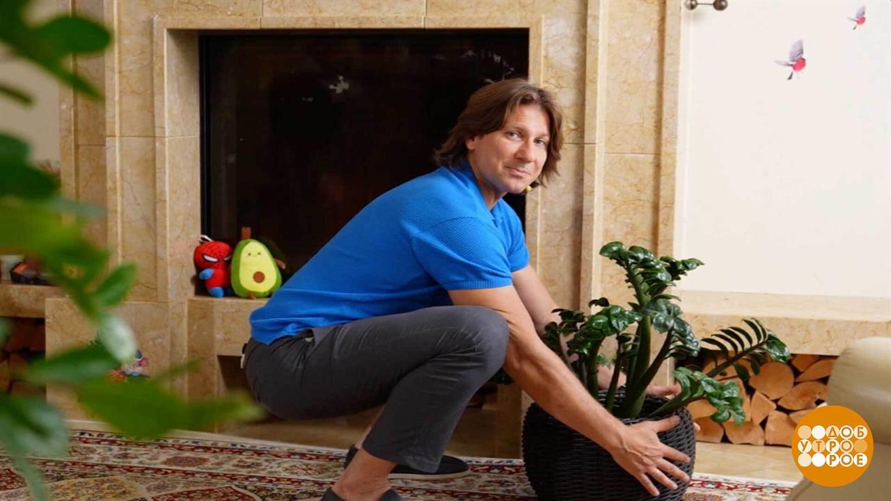 Чтобы поясница не болела. Доброе утро. Фрагмент выпуска от 22.09.2025