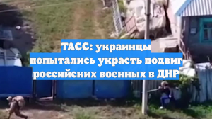 ТАСС: украинцы попытались украсть подвиг российских военных в ДНР