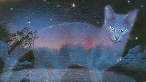 Кошечки на даче