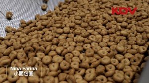 KDV Тараллини.