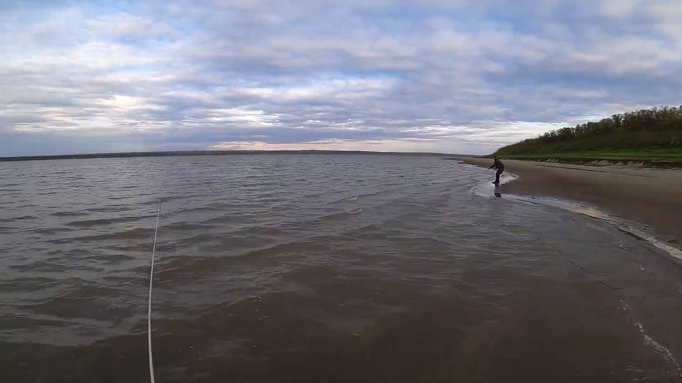 Рыбалка неводом. Первая ряпушка (Туруханка)