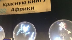 Влог - наш Август 2025