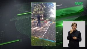 На территорию детского сада на Шафиева зашел лось
