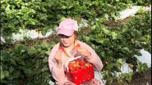 Когда взрослые решают отношения детей !