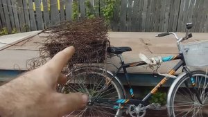 Деньги на улице!