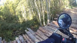 Avantis Tourist. Маршрут выходного дня
