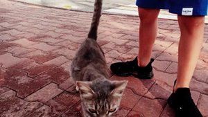 подпишись на канал