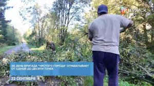 В поселке Марков Лес удалили деревья, мешающие обзору дороги