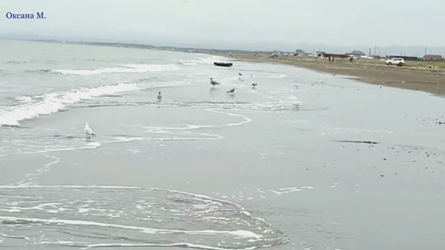 В Песчанском на Сахалине 17 сентября