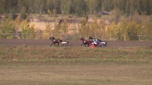 03 Приз в честь работников сельского хозяйства