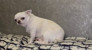 Доброго всем вечера и самой спокойной ночи.