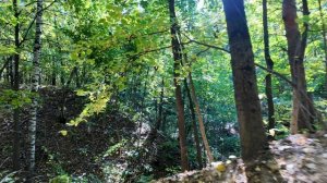 Каждый день последний