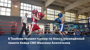 В Тамбове прошел турнир по боксу, посвящённый памяти бойца СВО Максима Анопочкина