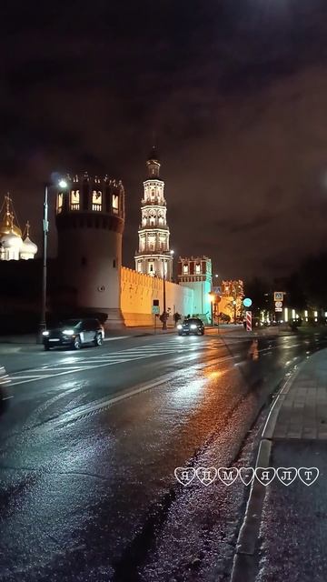 Новодевичий ставропигиальный женский монастырь Москва 20.09.2025 (22:34) м.Спортивная 730м.