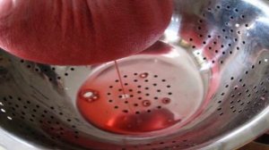 Желе из брусники