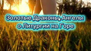Золотые Драконы, Ангелы о Литургии на Горе 06.07.2025г   (75 Послание)