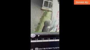 Вандалы разрисовали Советскую Гавань рекламой наркомагазинова - соцсети