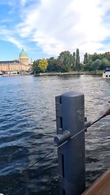 🎣 Рыбалка в порту Потсдама_ один окунь и сотни зевак 😅(2)