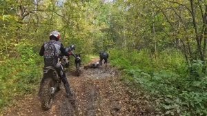 мы любим эндуро