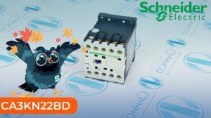 CA3KN22BD Реле промежуточное Schneider Electric - Олниса