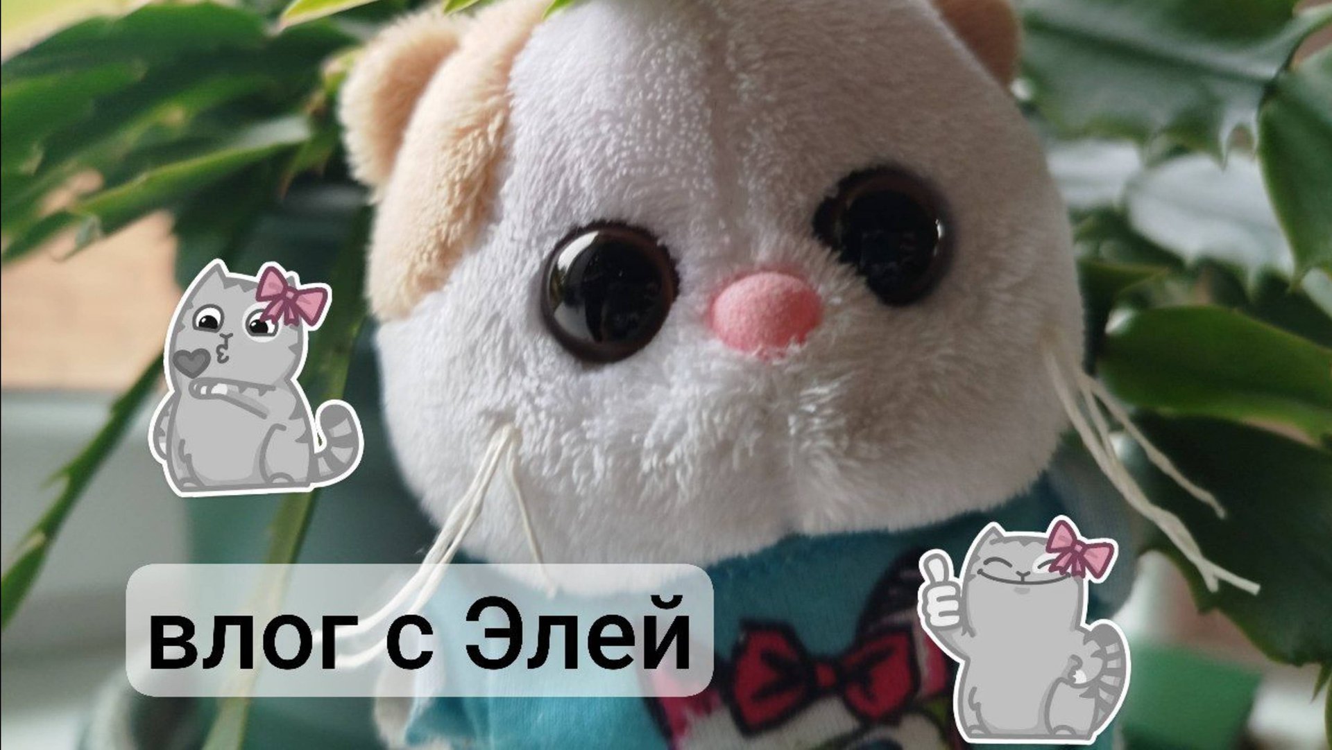 ВЛОЖЕК С ЭЛЕЧКОЙ 🎀
НАША ЛЮБИМАЯ ЛИЛИШЕЧКА 😘 смотреть онлайн