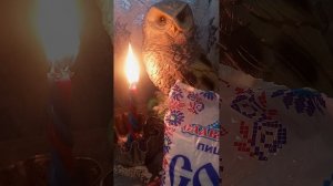 Чистка на соль