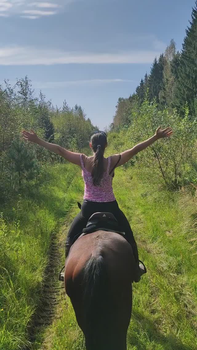 Лошадиная погода