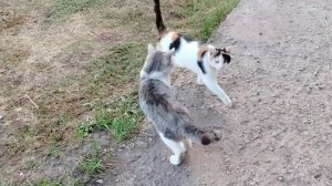 Аня заболела. Целый день опасность БПЛА 🛩️🛩️