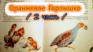 ОРАНЖЕВОЕ ГОРЛЫШКО / 2 часть/