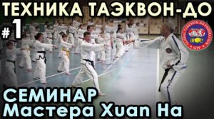 Техника Таэквон-до GTF: семинар Мастера Xuan Ha – 1.