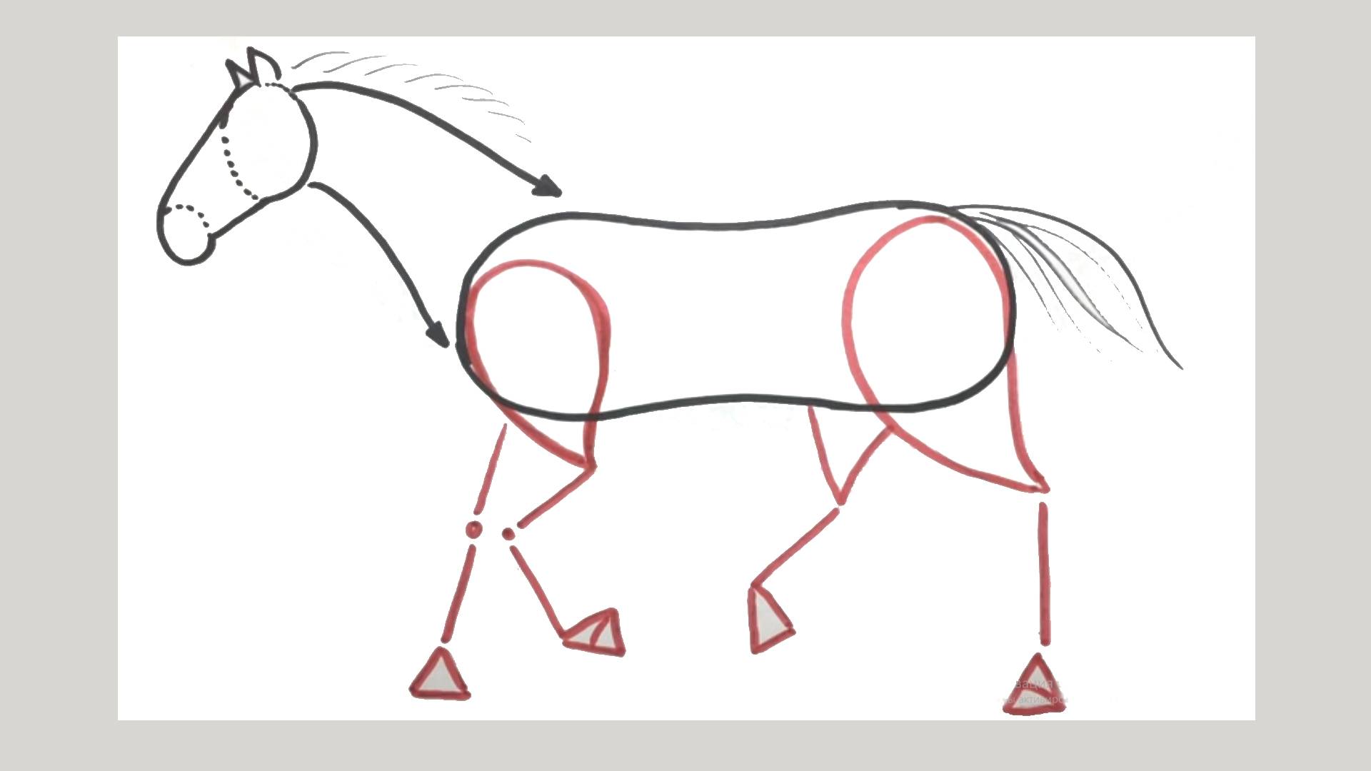 Рисуем лошадь смотреть онлайн